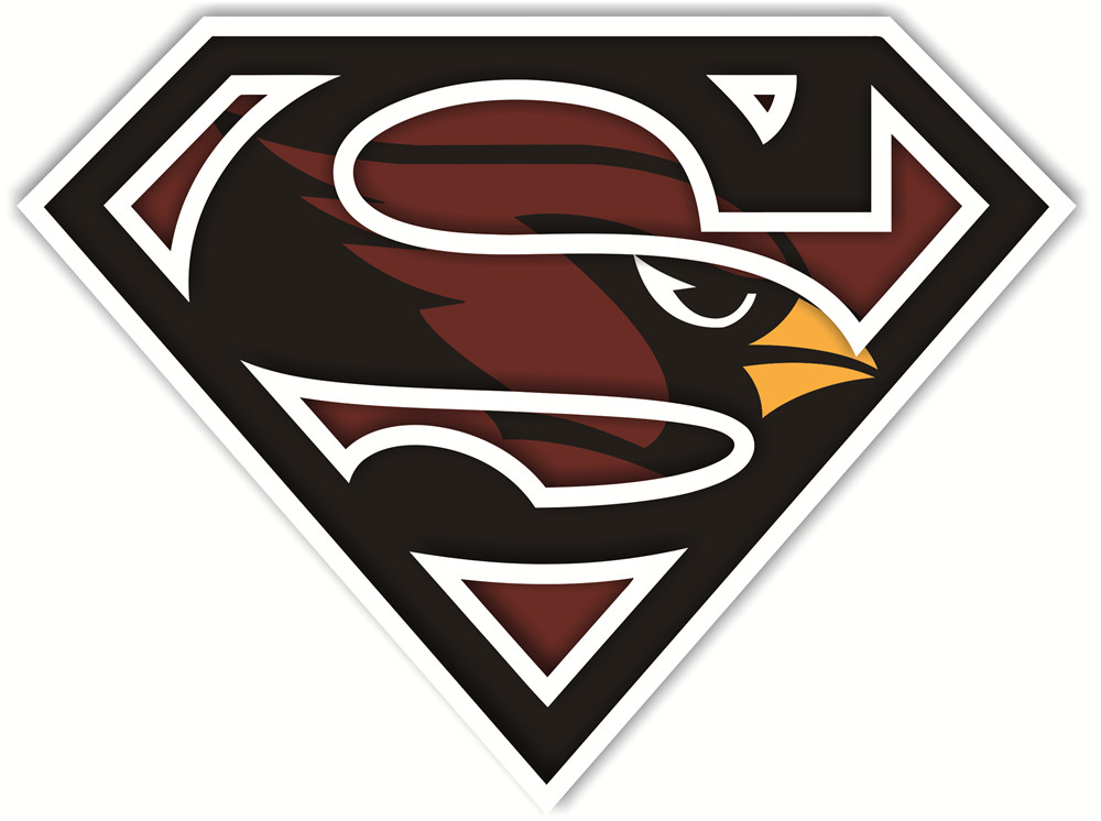 Arizona Cardinals superman logos iron on heat transfer